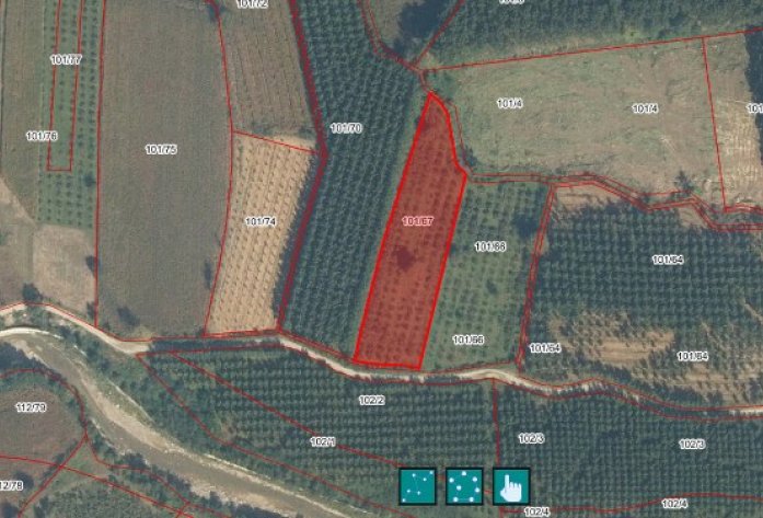 5.281 m2 FINDIK TARLASI